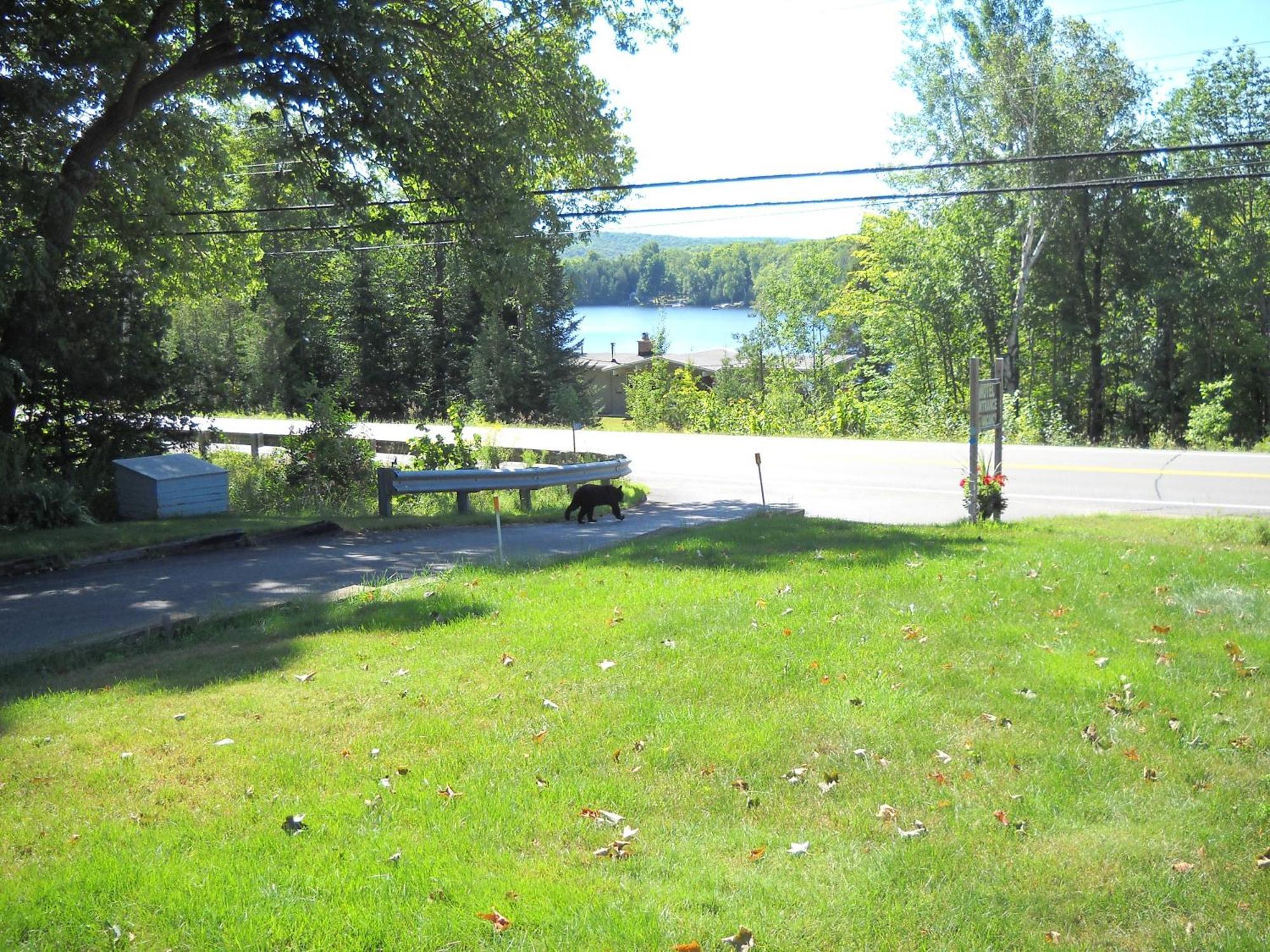 Lakeview Motel Haliburton Eksteriør bilde