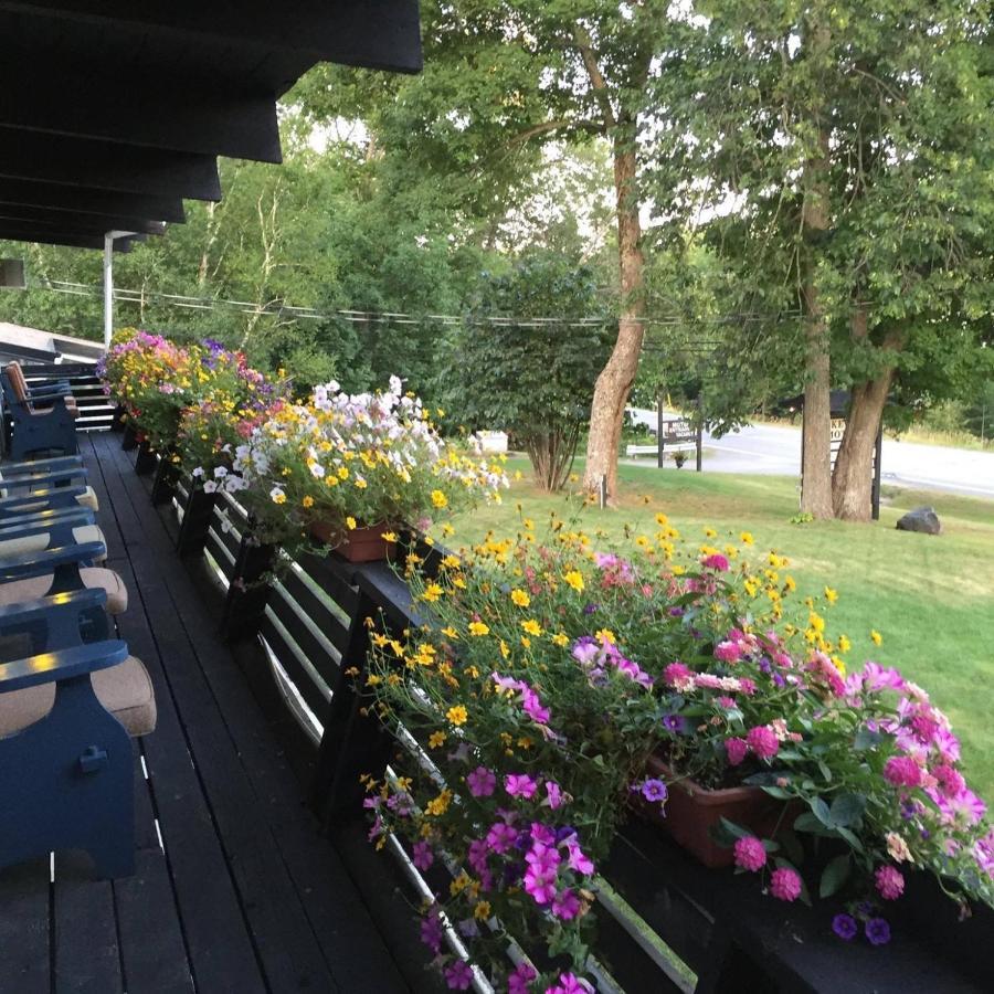 Lakeview Motel Haliburton Eksteriør bilde